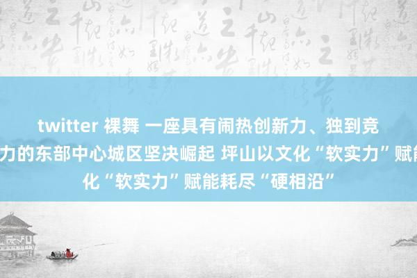 twitter 裸舞 一座具有闹热创新力、独到竞争力、新锐影响力的东部中心城区坚决崛起 坪山以文化“软实力”赋能耗尽“硬相沿”