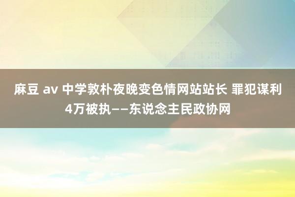 麻豆 av 中学敦朴夜晚变色情网站站长 罪犯谋利4万被执——东说念主民政协网