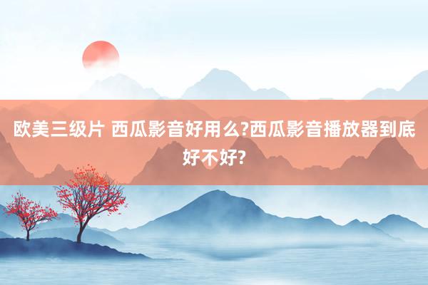 欧美三级片 西瓜影音好用么?西瓜影音播放器到底好不好?