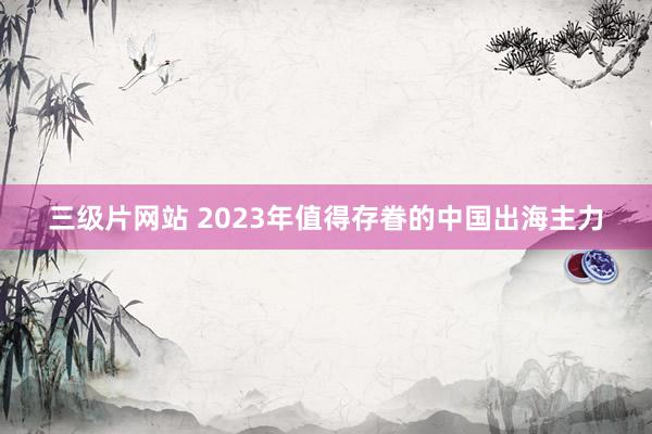 三级片网站 2023年值得存眷的中国出海主力