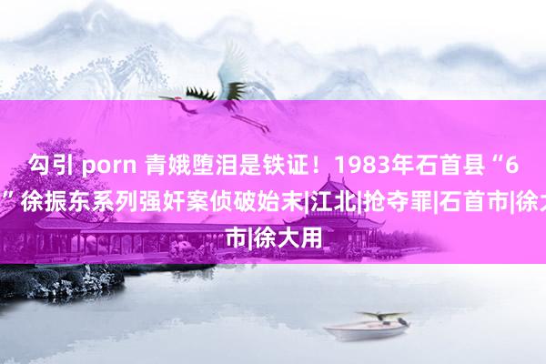 勾引 porn 青娥堕泪是铁证！1983年石首县“6·26”徐振东系列强奸案侦破始末|江北|抢夺罪|石首市|徐大用