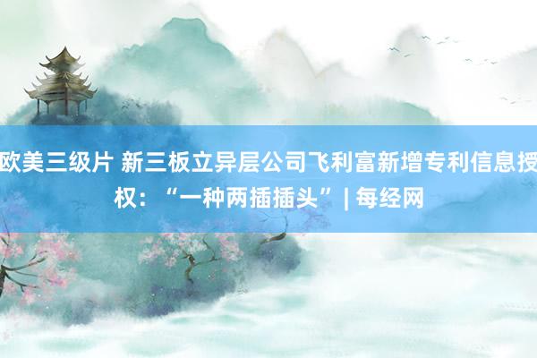 欧美三级片 新三板立异层公司飞利富新增专利信息授权：“一种两插插头” | 每经网