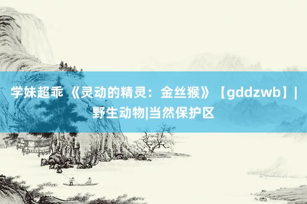 学妹超乖 《灵动的精灵：金丝猴》【gddzwb】|野生动物|当然保护区