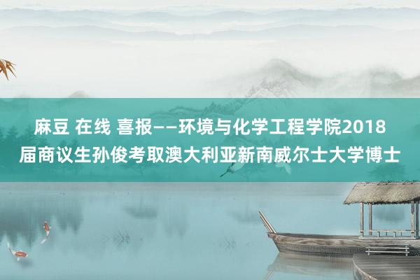 麻豆 在线 喜报——环境与化学工程学院2018届商议生孙俊考取澳大利亚新南威尔士大学博士